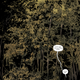 Illustration for article titled iRedlands/i #3 delivers a sensual, spooky horror story in the Florida swamp